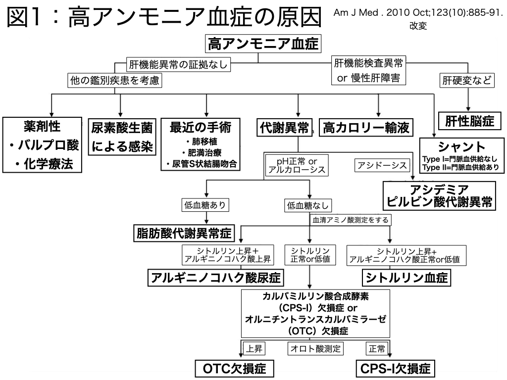 高 アンモニア 血 症